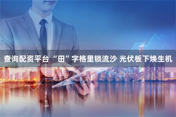 查询配资平台 “田”字格里锁流沙 光伏板下焕生机