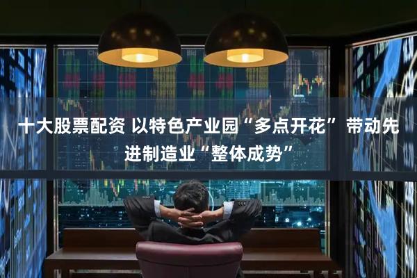 十大股票配资 以特色产业园“多点开花” 带动先进制造业“整体成势”
